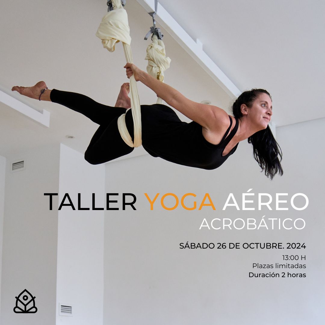 Taller Yoga Aereo Avanzado